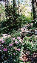 Private spot with waterfall beside author's greenhouse