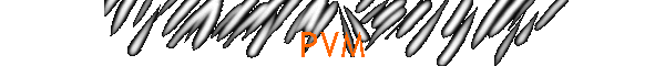 PVM