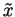 $\tilde{x}$